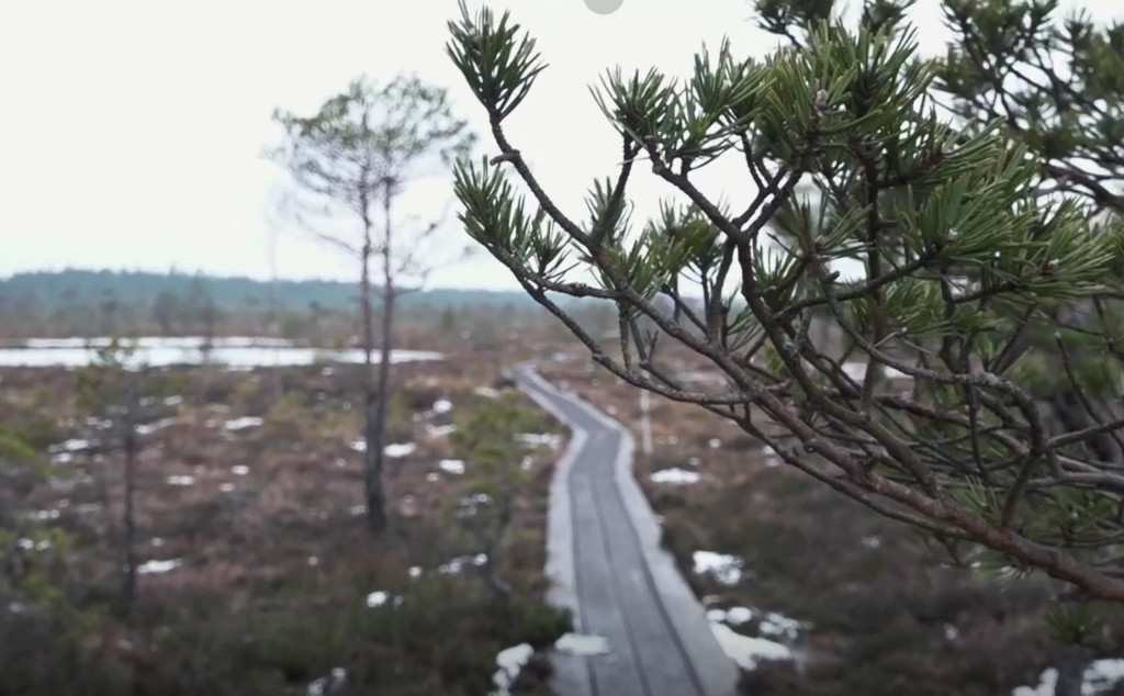 VIDEO I Soomaal matkamine ja ööbimine pakub unustamatu elamuse