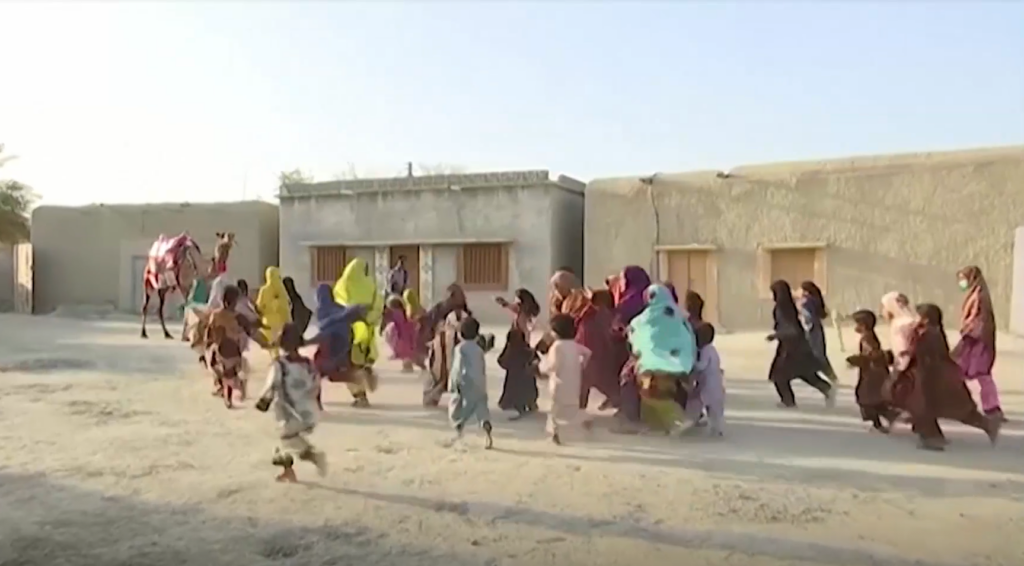 VIDEO I Vahva mõte! Pakistani kaamel aitab koduõppel olevatele lastele raamatud kohale toimetada