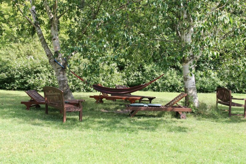 Võrkkiik (Foto Pixabay)