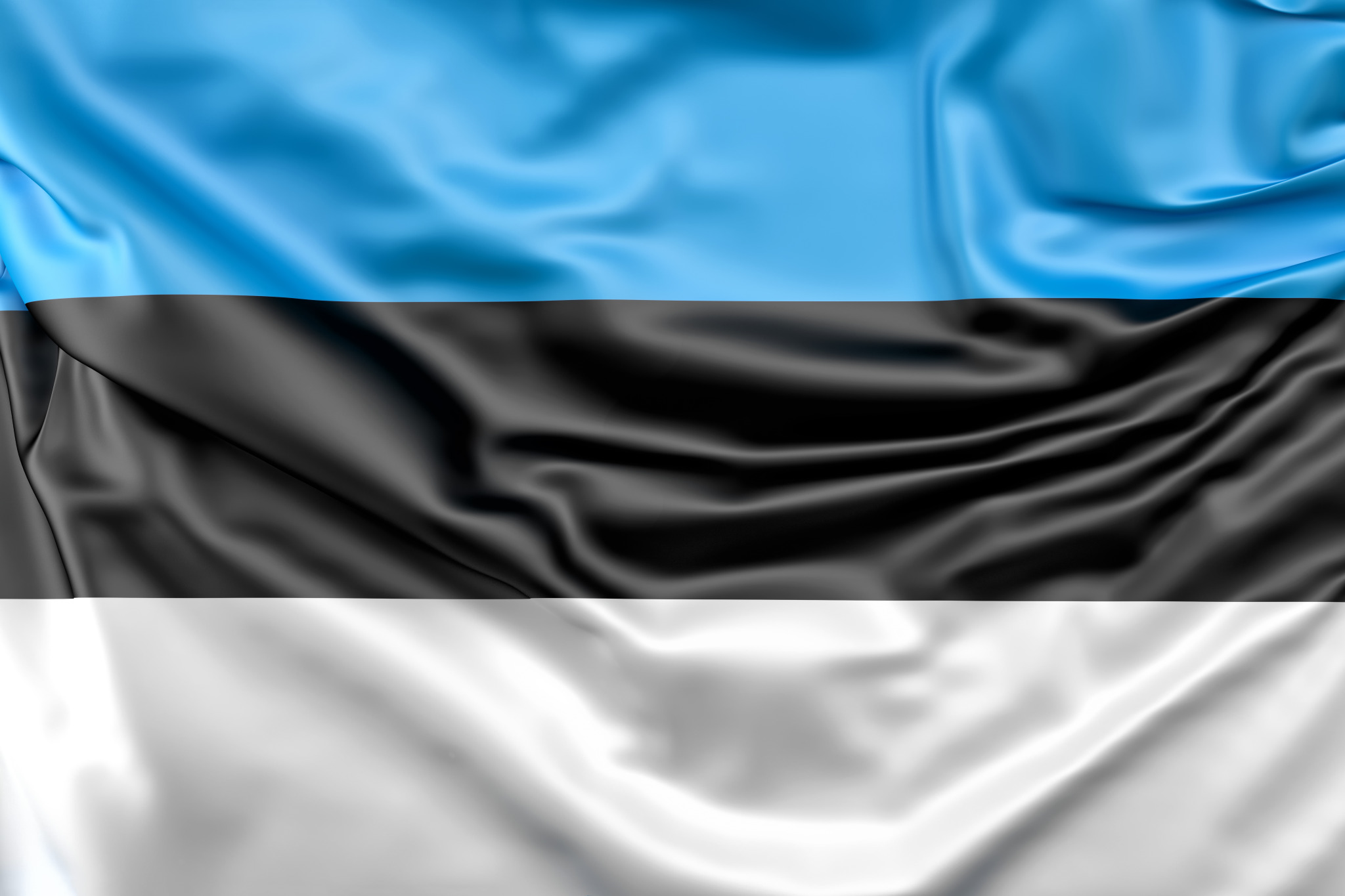 Eesti lipp (Foto Freepik) (3)