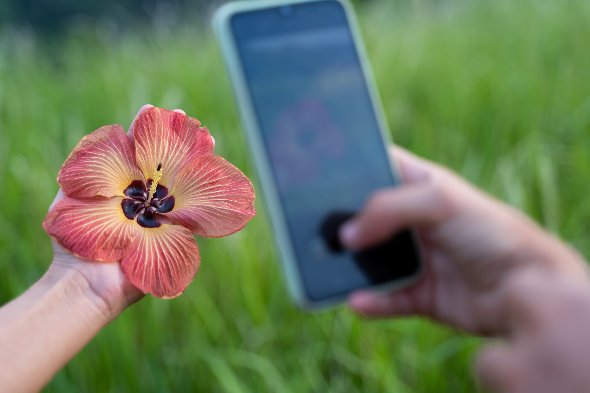 detail-hand-making-photo-with-mobile-phone-flower-that-holds-hand