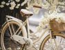 jalgratas õied puu suvi kevad puhkus valge Freepik